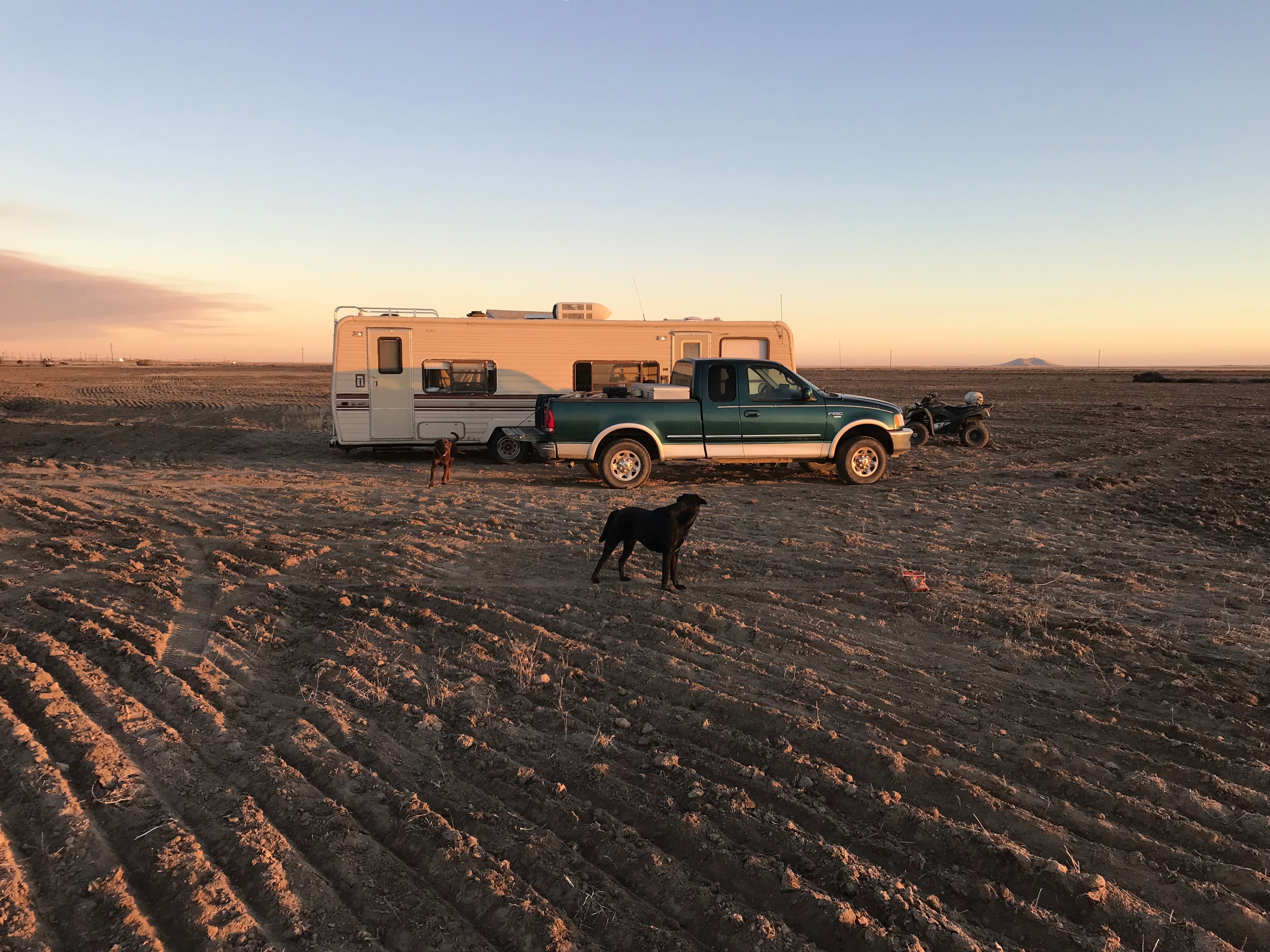 Organic dryland grain farming in southwest Idaho